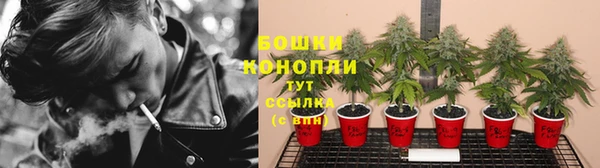прущие крисы Володарск