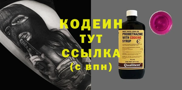 прущие грибы Волоколамск