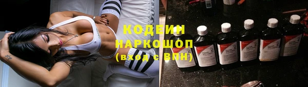 прущие грибы Волоколамск