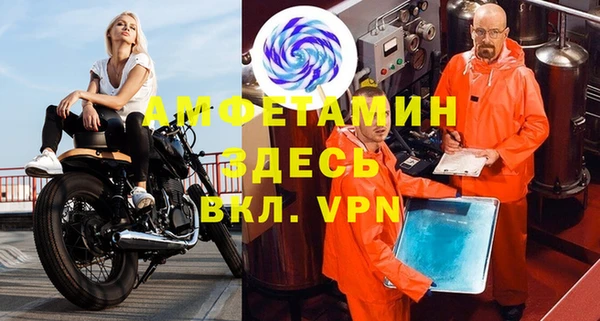 прущие грибы Волоколамск