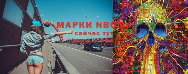прущие грибы Волоколамск