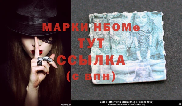 прущие грибы Волоколамск