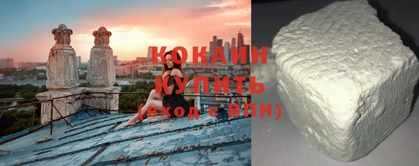 прущие грибы Волоколамск