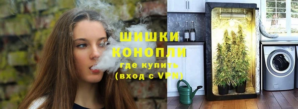 прущие грибы Волоколамск